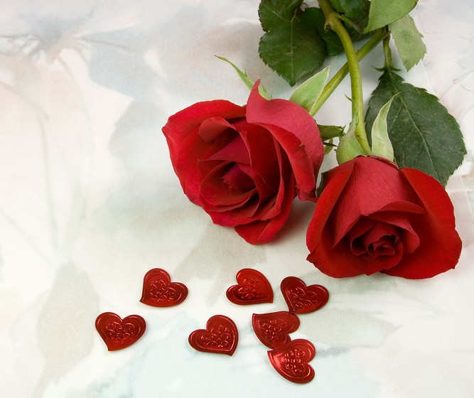 無償獻(xiàn)血 無償獻(xiàn)血