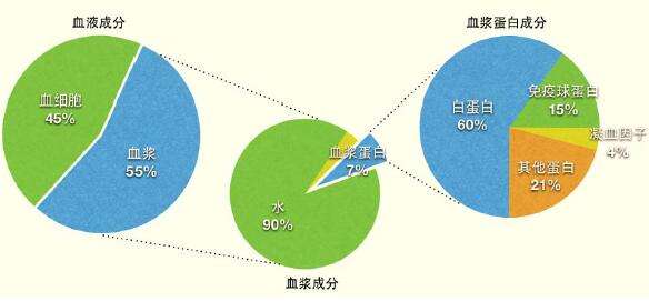 血液成分 血液成分