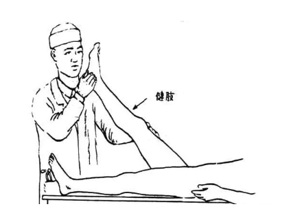 腰椎間盤(pán)突出 腰椎間盤(pán)突出