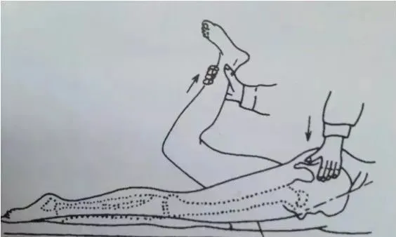 股神經(jīng)牽拉試驗(yàn) 股神經(jīng)牽拉試驗(yàn)