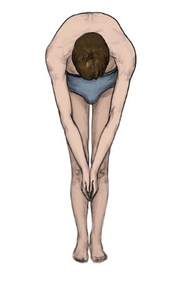 前屈試驗(yàn)示意圖 前屈試驗(yàn)示意圖