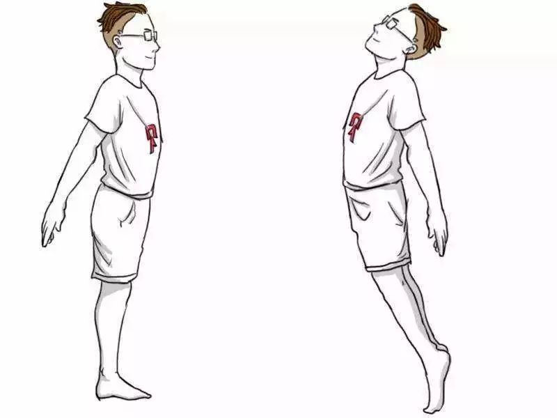 立式小燕飛 立式小燕飛